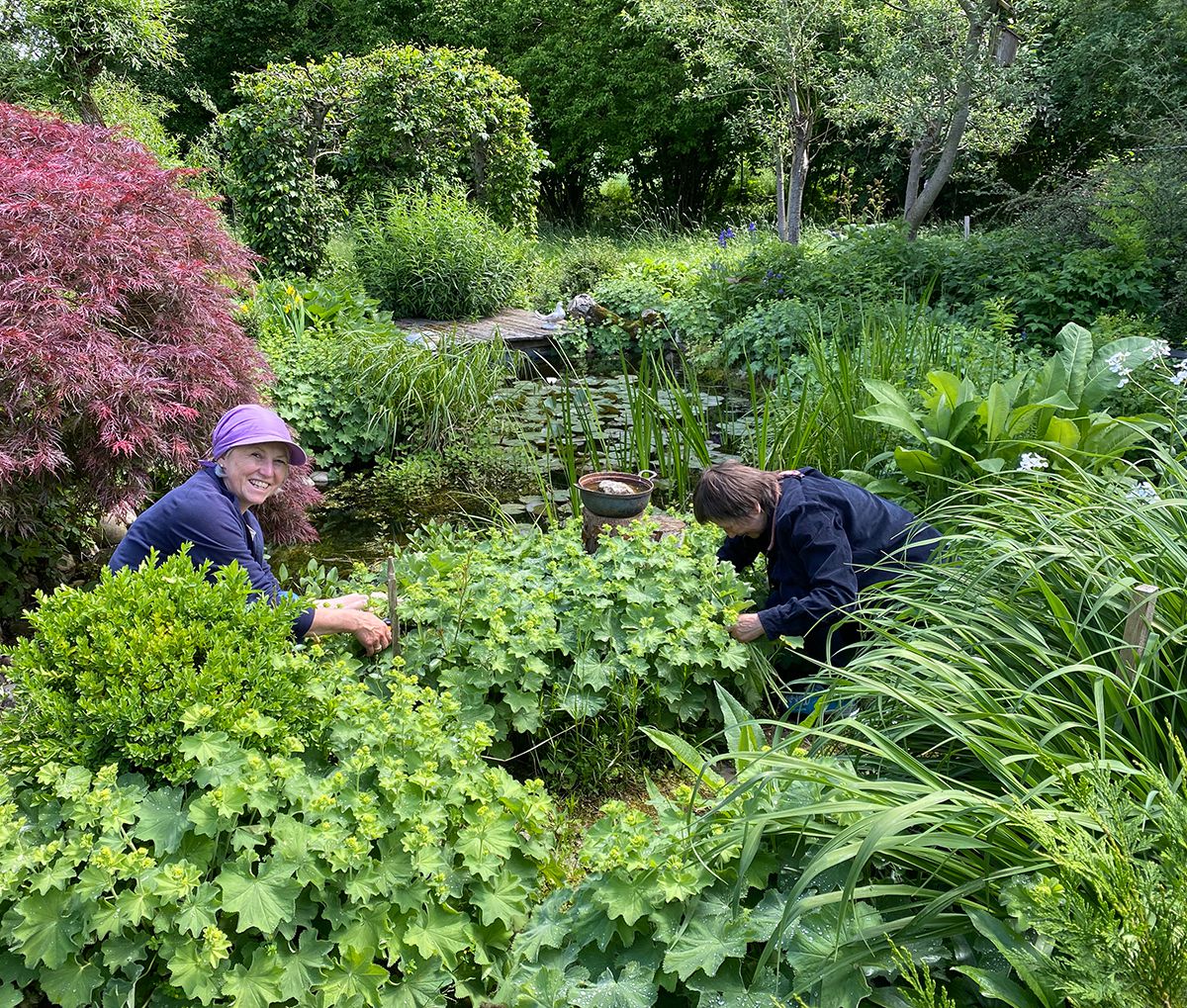 Sammler Naturgarten